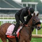exacta bet kentucky derby